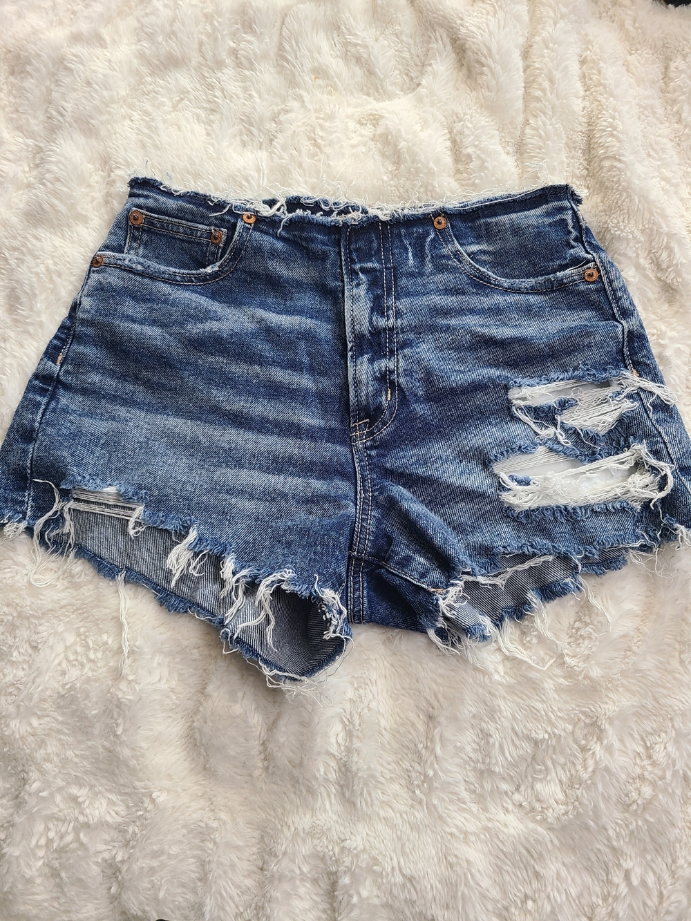American Eagle Outfitters Distressed Dark Wash Denim Shorts